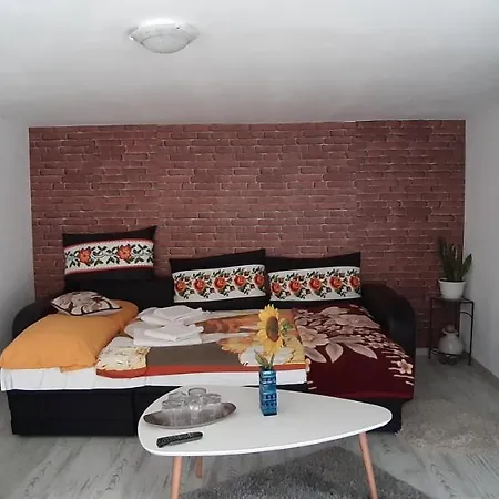 Pensiunea Casa Godja 3* Valeni (Maramures)