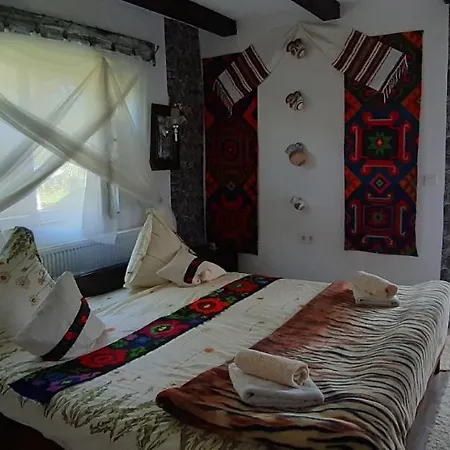 Guest house Pensiunea Casa Godja 3*