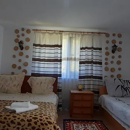Pensiunea Casa Godja 3*