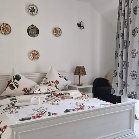 Guest house Pensiunea Casa Godja