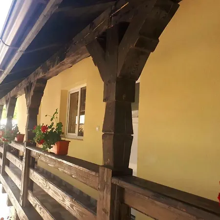 Guest house Pensiunea Casa Godja 3*